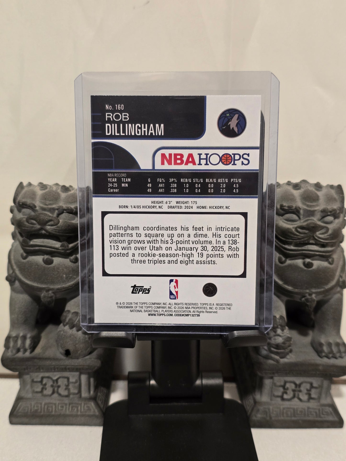 Rob Dillingham NBA Hoops Light Burst