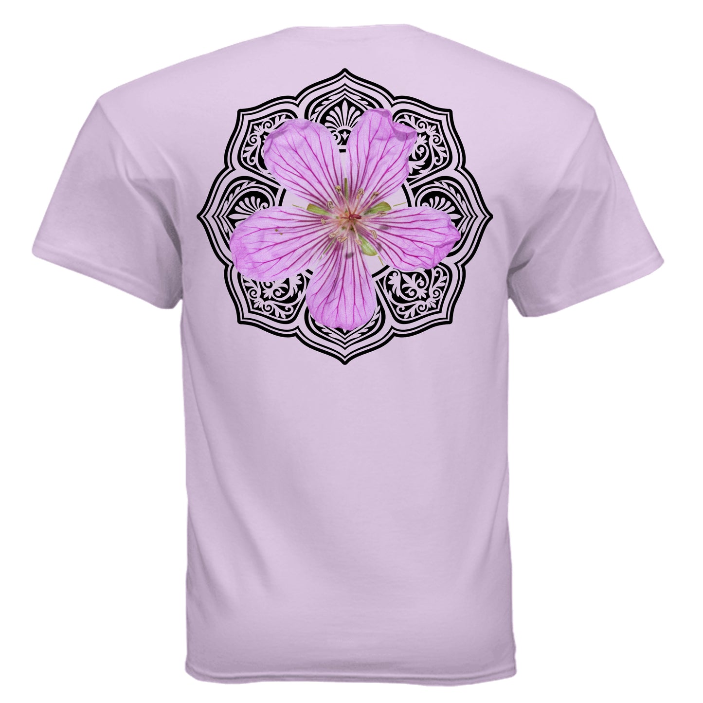 ORCHID - G200 - BACK