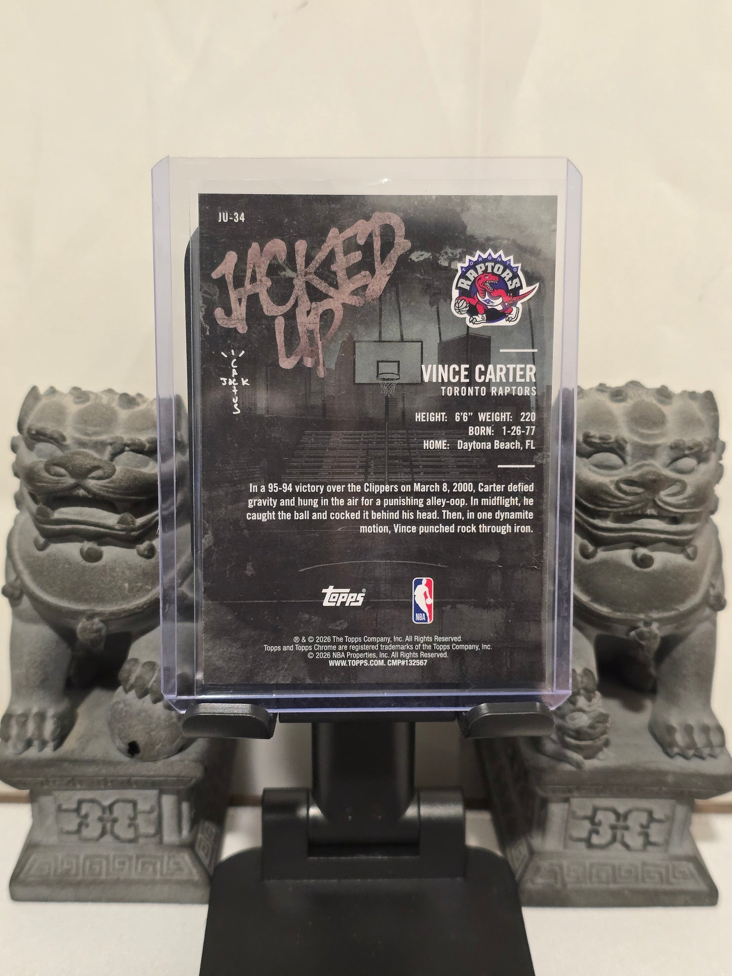 Vince Carter Cactus Jack