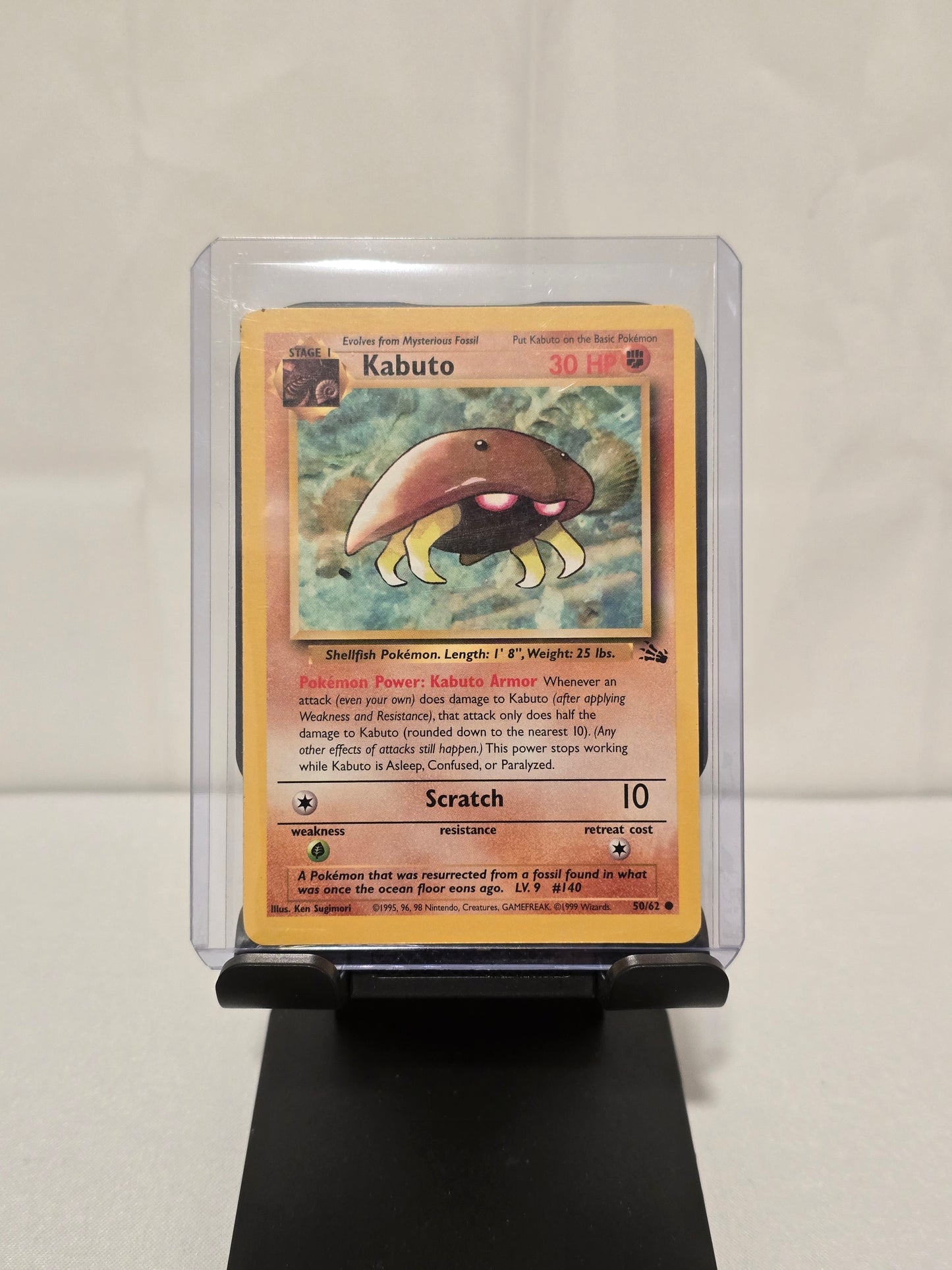 Kabuto Fossil Regular