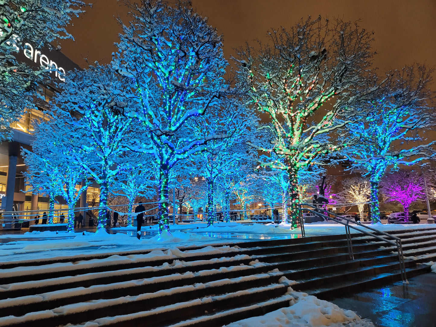 Christmas lights/Winter scene