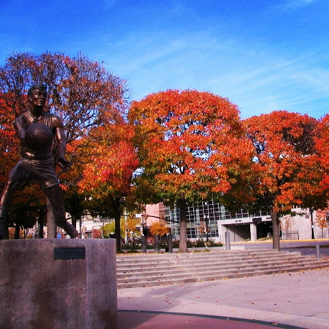 Fall scene with my Favorite Point Guards Statue