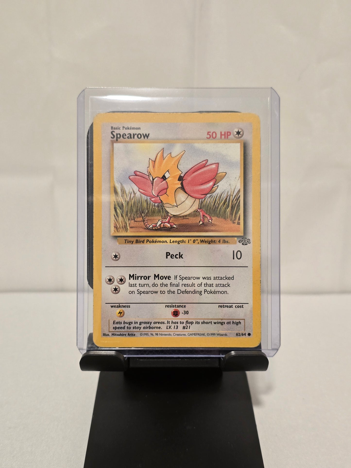 Spearow Jungle Regular
